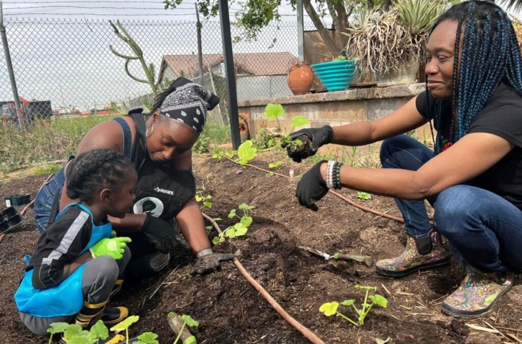 Illustrative photo: Heart & Soil People's Garden Education Center Opens in South Phoenix