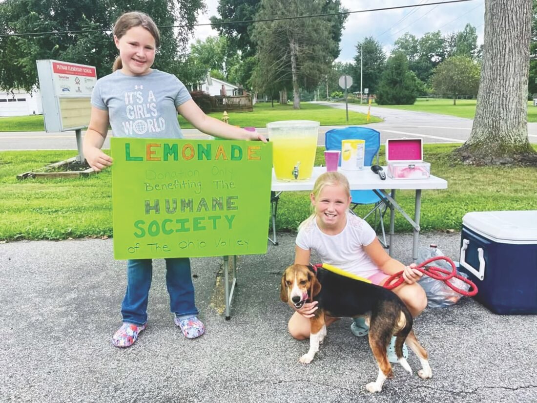 Illustrative photo: Henry Bryant Southgate lemonade stand animal shelters