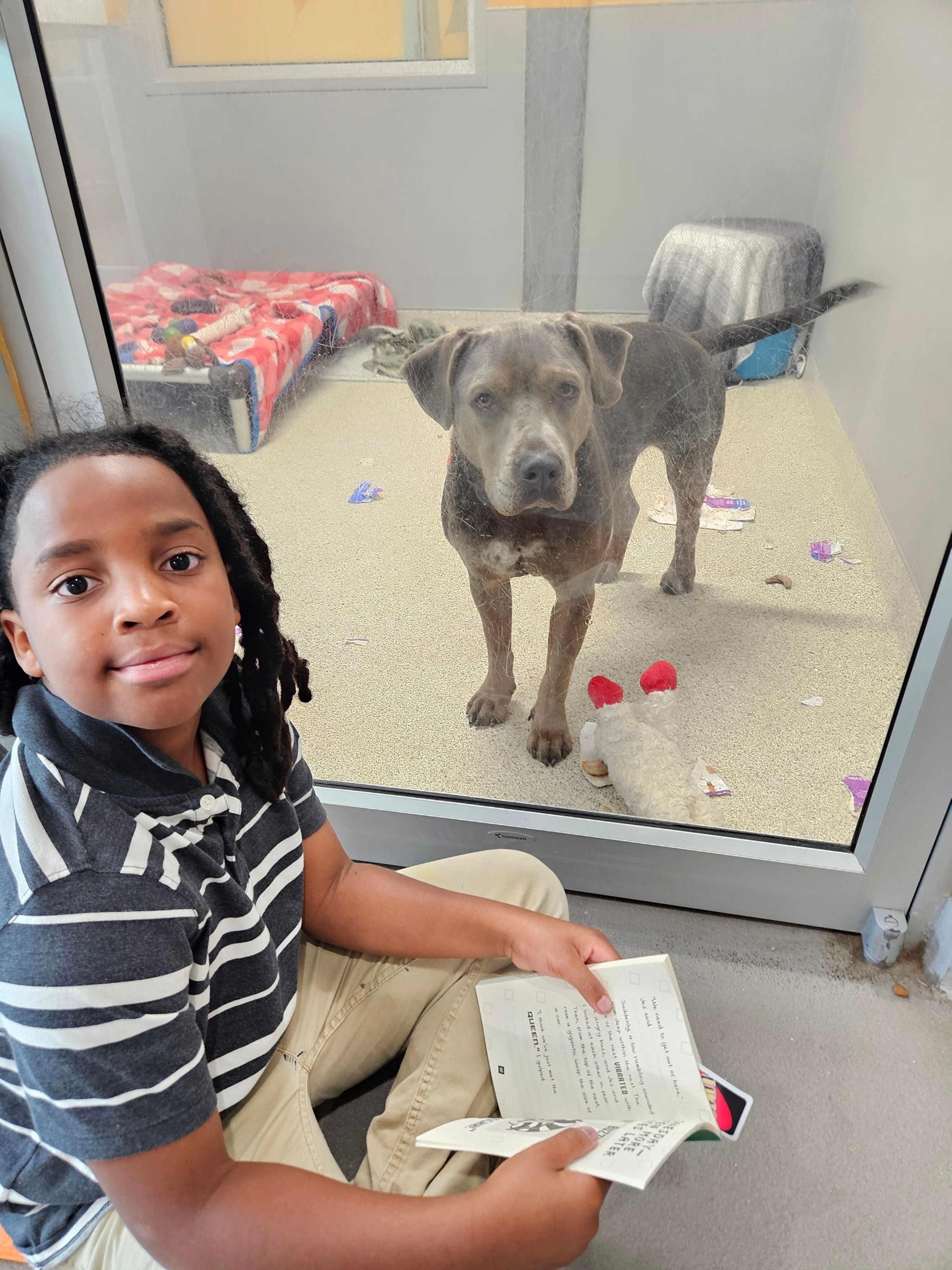 Illustrative photo: Nehemiah Turner Jacksonville Humane Society reading shelter